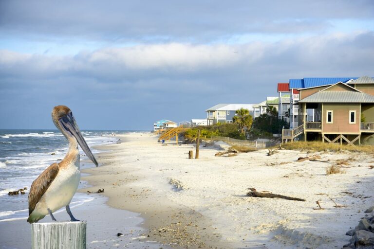 Beautiful sandy beaches in the Florida Panhandle town of Apalachicola with beach house vacation rentals in the background