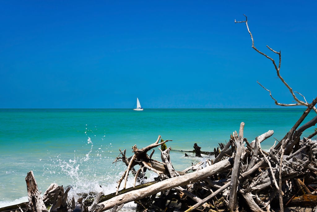 Beer Can Island Longboat Key Driftwood