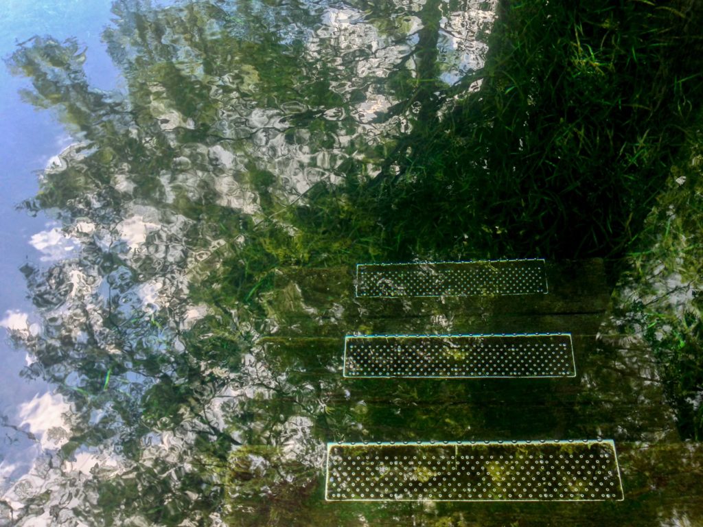 Stairs Leading Underwater in a Clear Water River in Florida