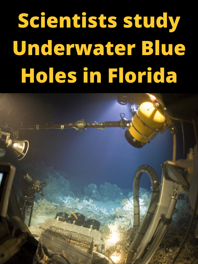 Blue Holes in Florida Story Cover