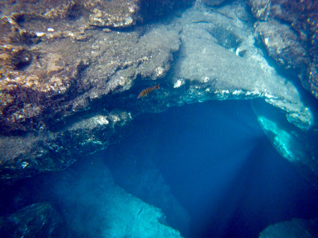 Clear water inside Buford Springs in the Chassahowitzka WMA, Florida