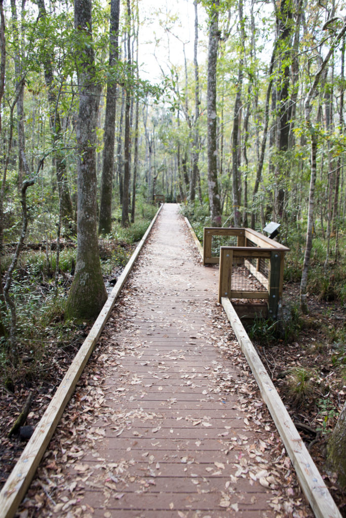 The boardwalk to Buford Springs
