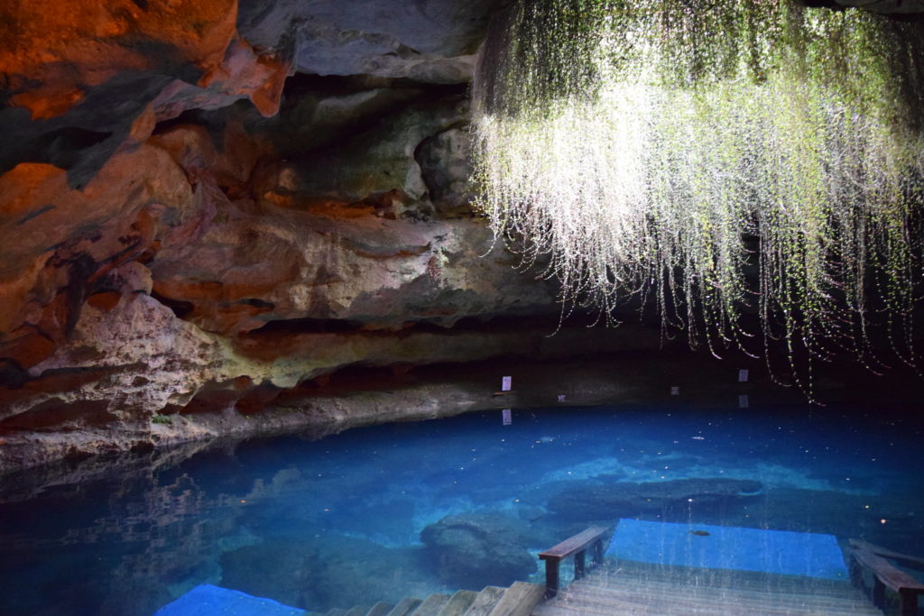 Devils Den Spring Florida Williston