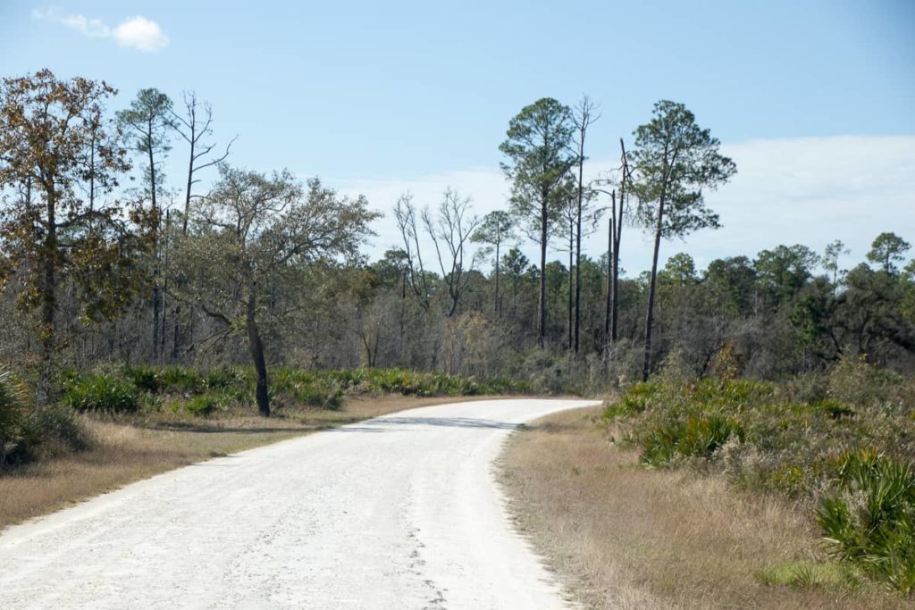 Road conditions in Chassahowitzka WMA towards Eagles Nest Sinkhole