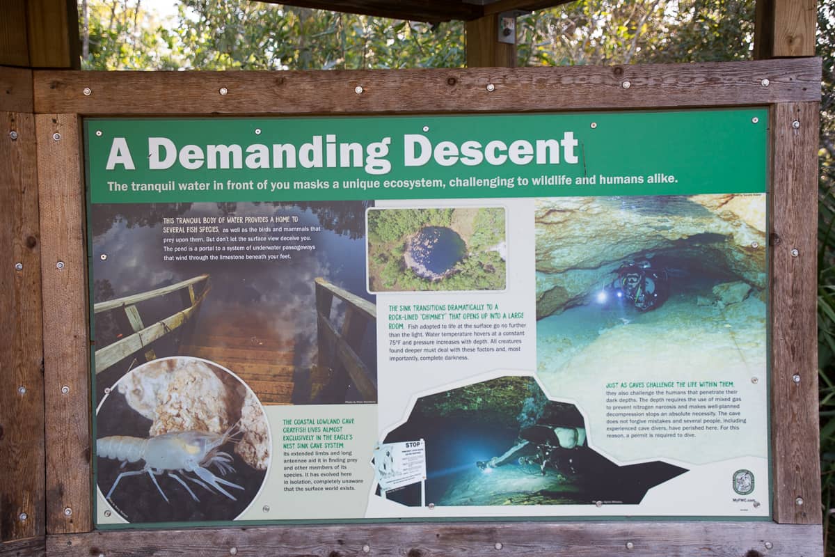 Eagle's Nest Cave – The Florida Guidebook