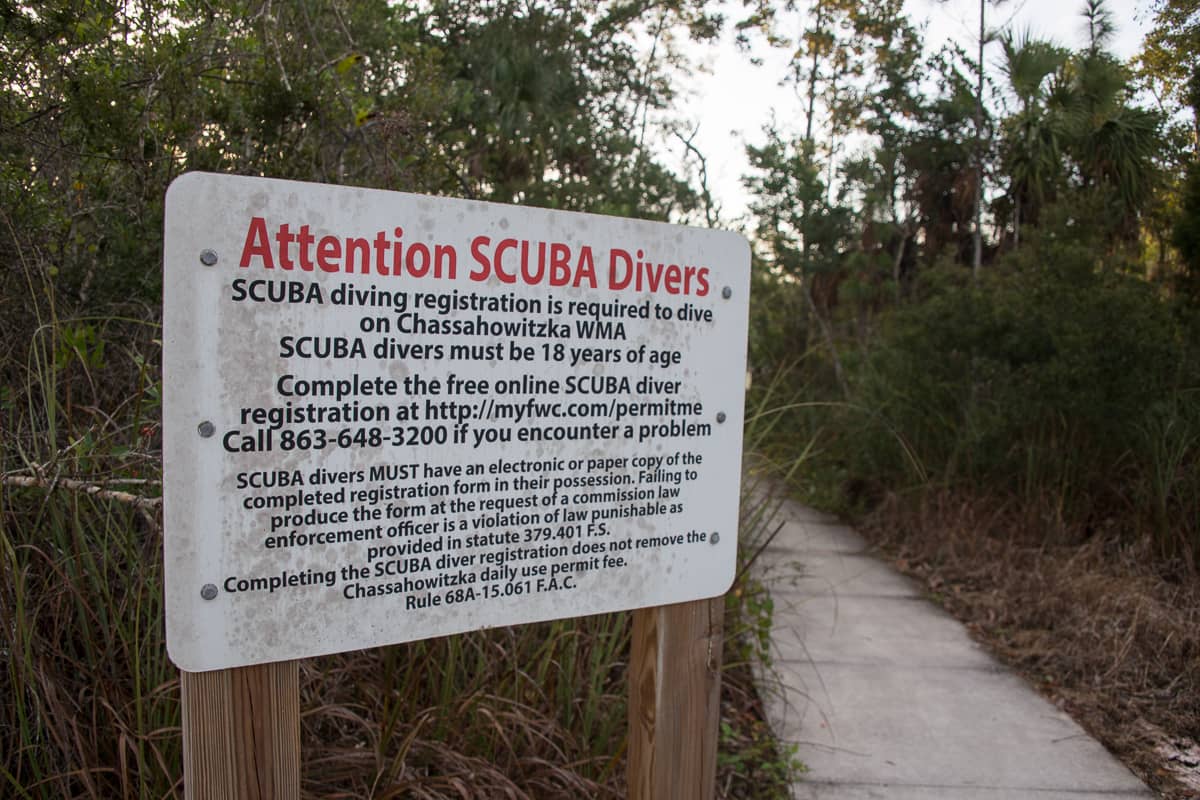 Eagle's Nest Cave – The Florida Guidebook