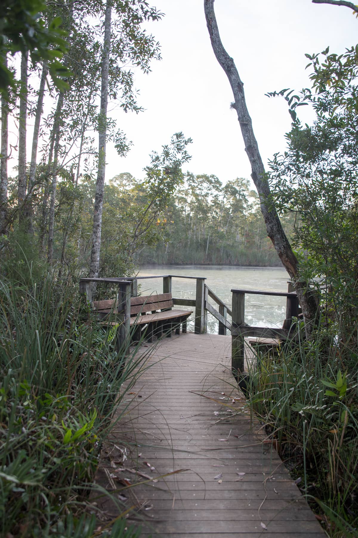 Eagle's Nest Cave – The Florida Guidebook
