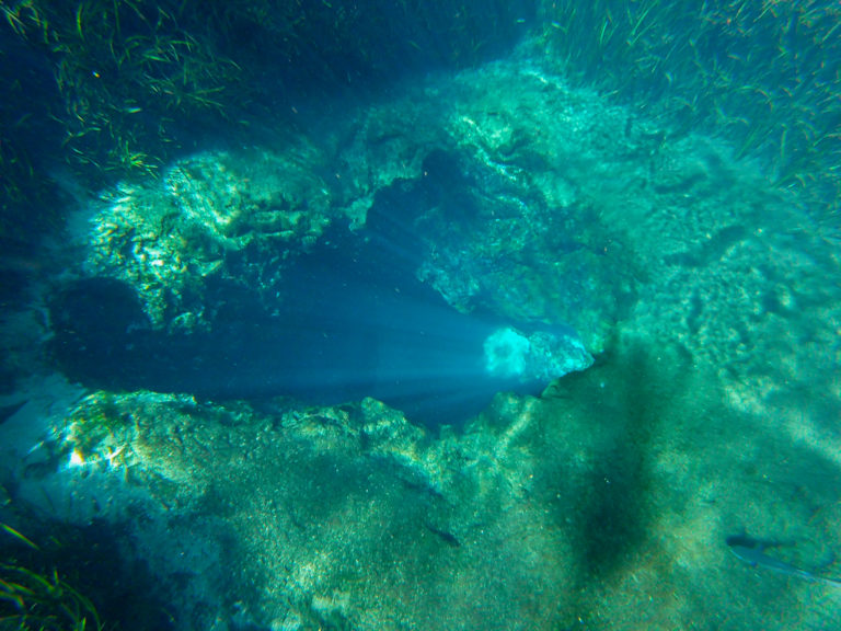 Blue Hole Spring inside Ichetucknee Springs State Park, Florida