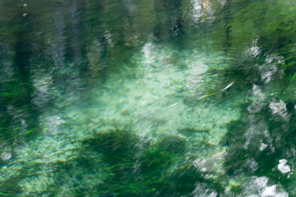 Clear water river in Florida