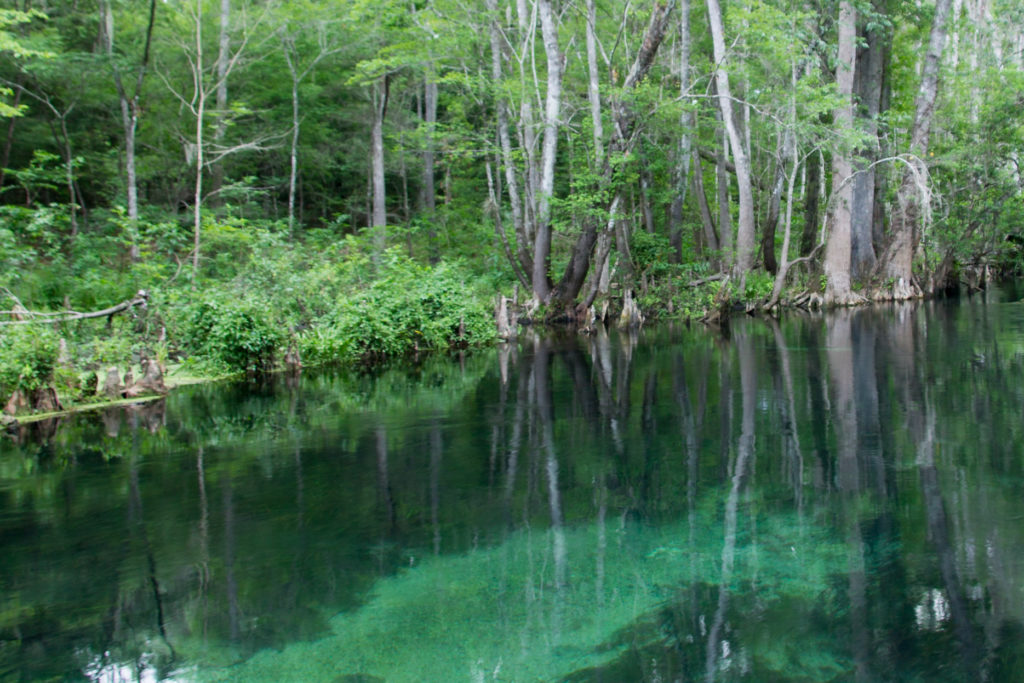 Ichetucknee River Bottom Tube Damage