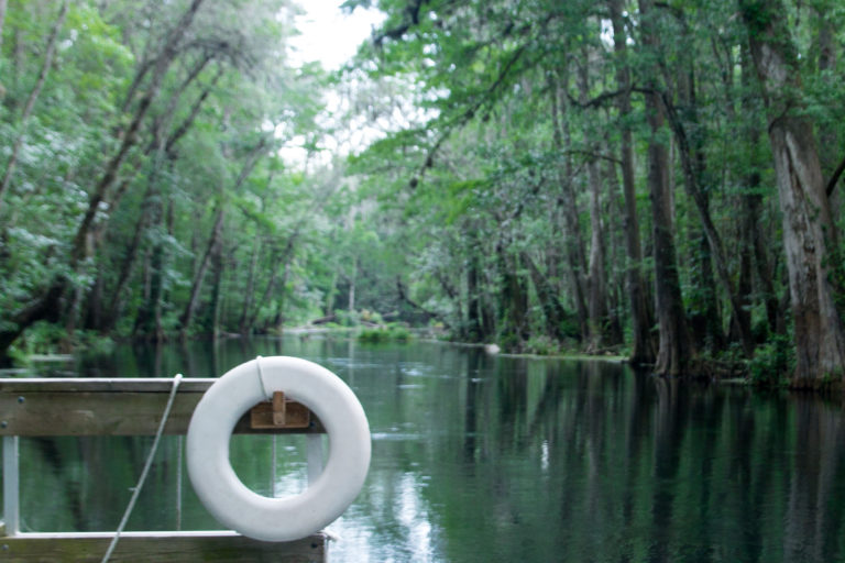 Dampiers Landing Ichetucknee Springs State Park