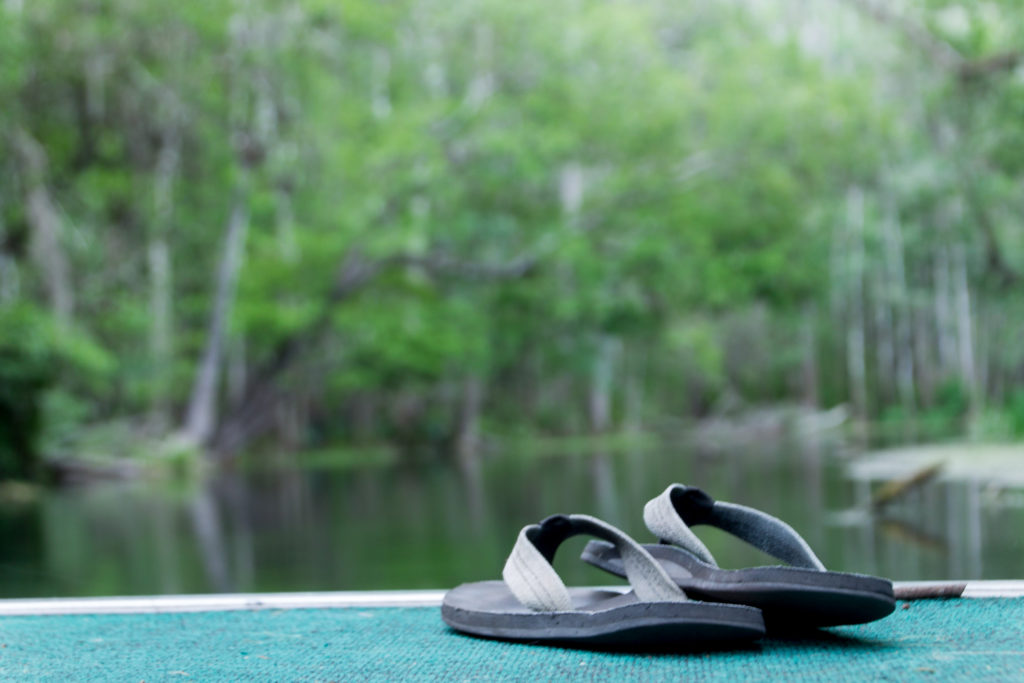 Midpoint dock, Ichetucknee Springs State Park