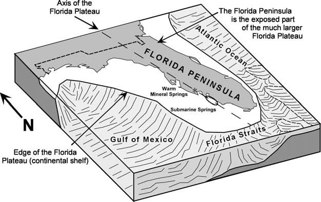 The Florida Platform and karst geology are responsible for Florida's blue holes.