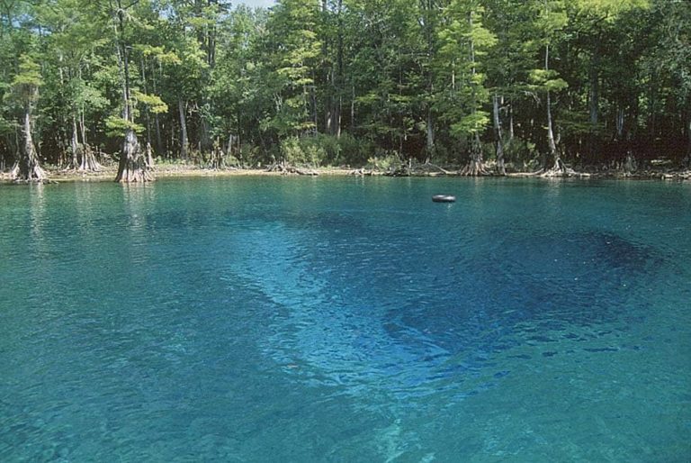 Morrison Springs