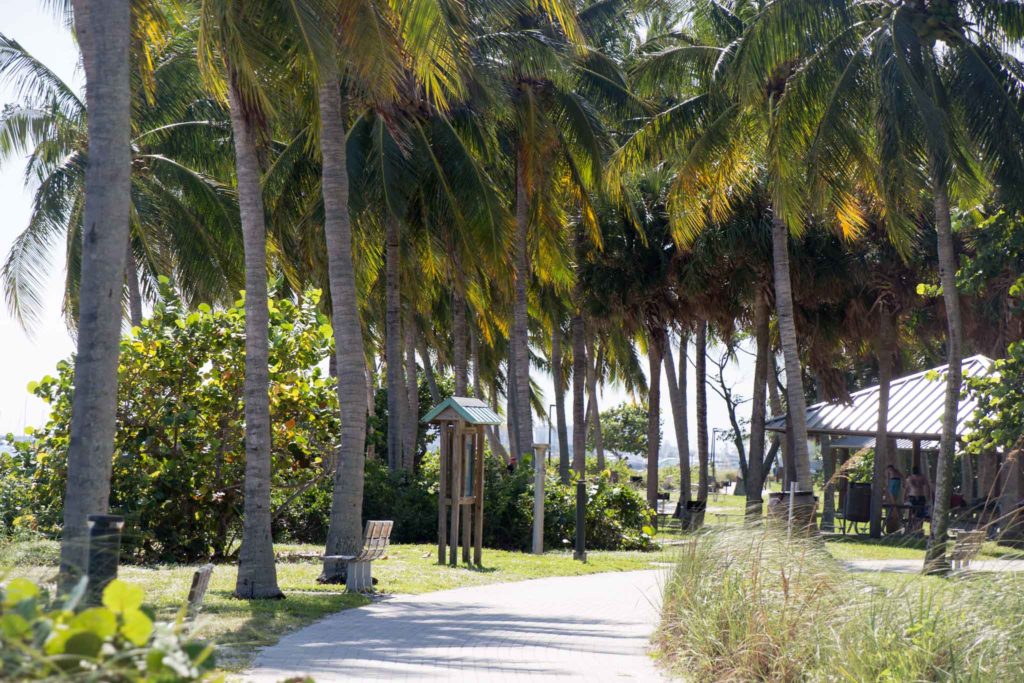 Walkways on Peanut Island, Florida