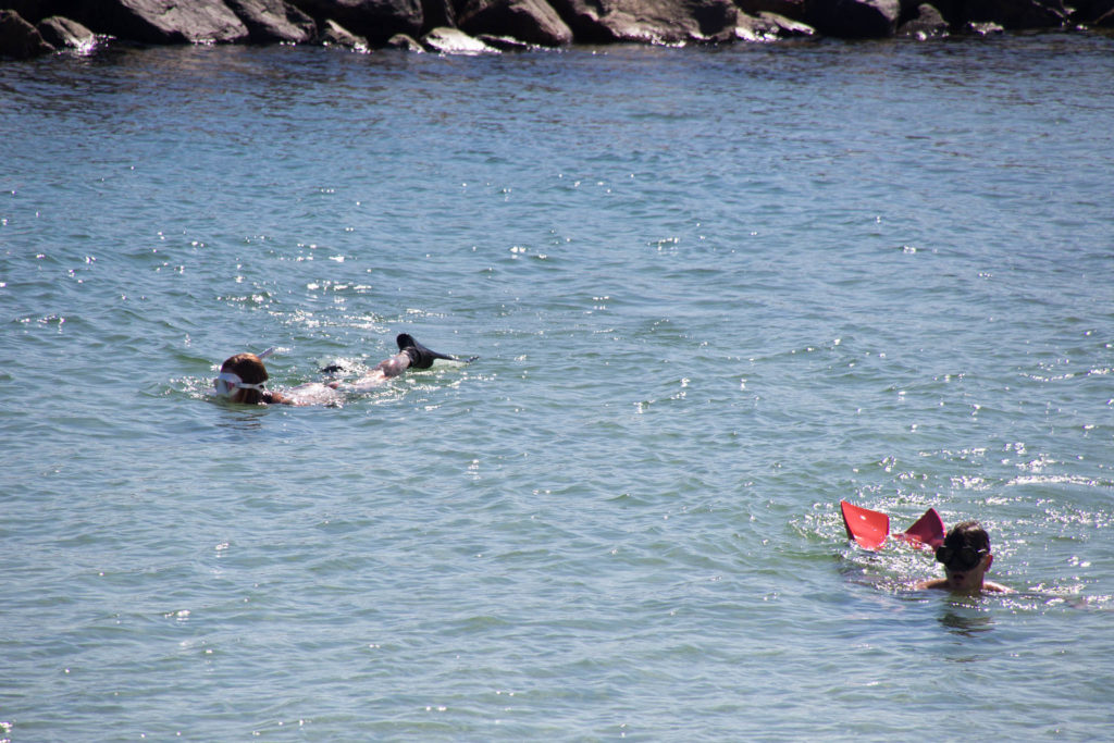 People snorkeling on Peanut Island, Florida