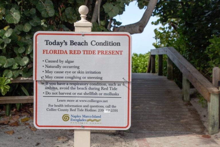 Florida Beaches with Red Tide