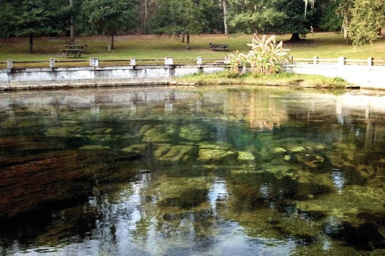 Salt springs, florida