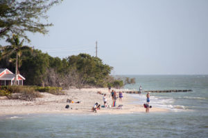 People on a beach shelling in Sanibel Island, Florida