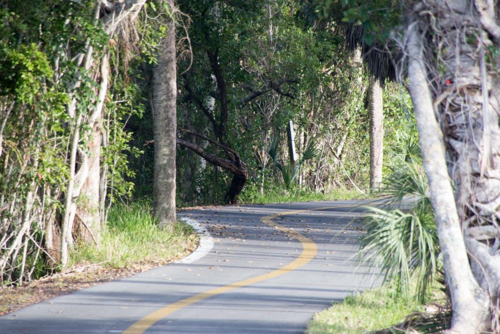 Bicycle paths in Sanibel Island, Florida