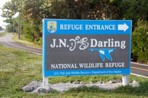 J.N. Darling National Wildlife Refuge