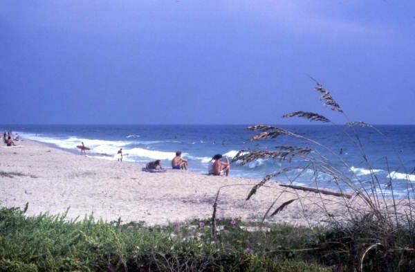 A sandy beach near Sebastian, Florida