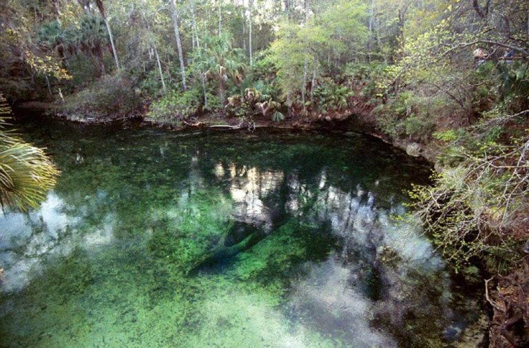 Blue Springs State Park