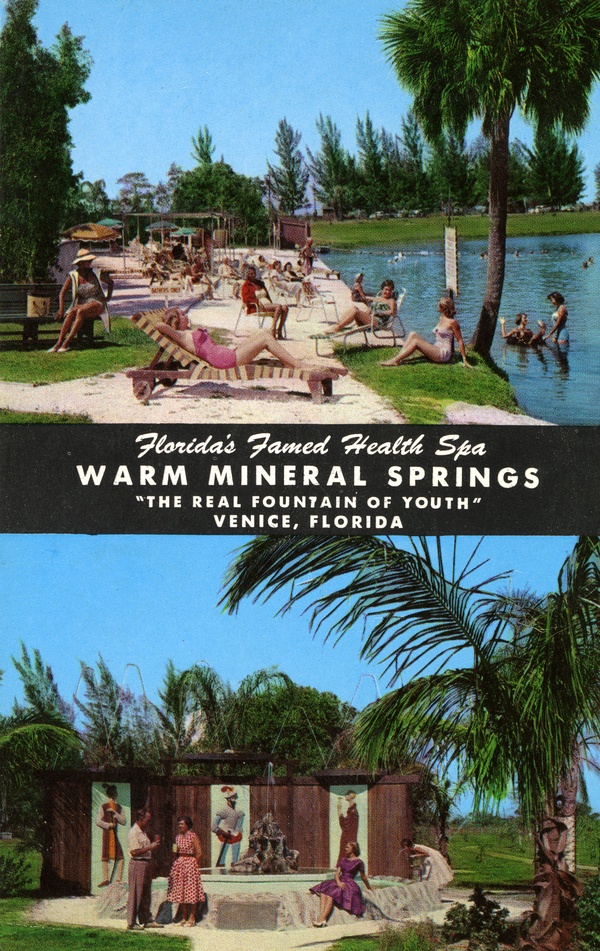 Florida Hot Springs: Warm Mineral Springs