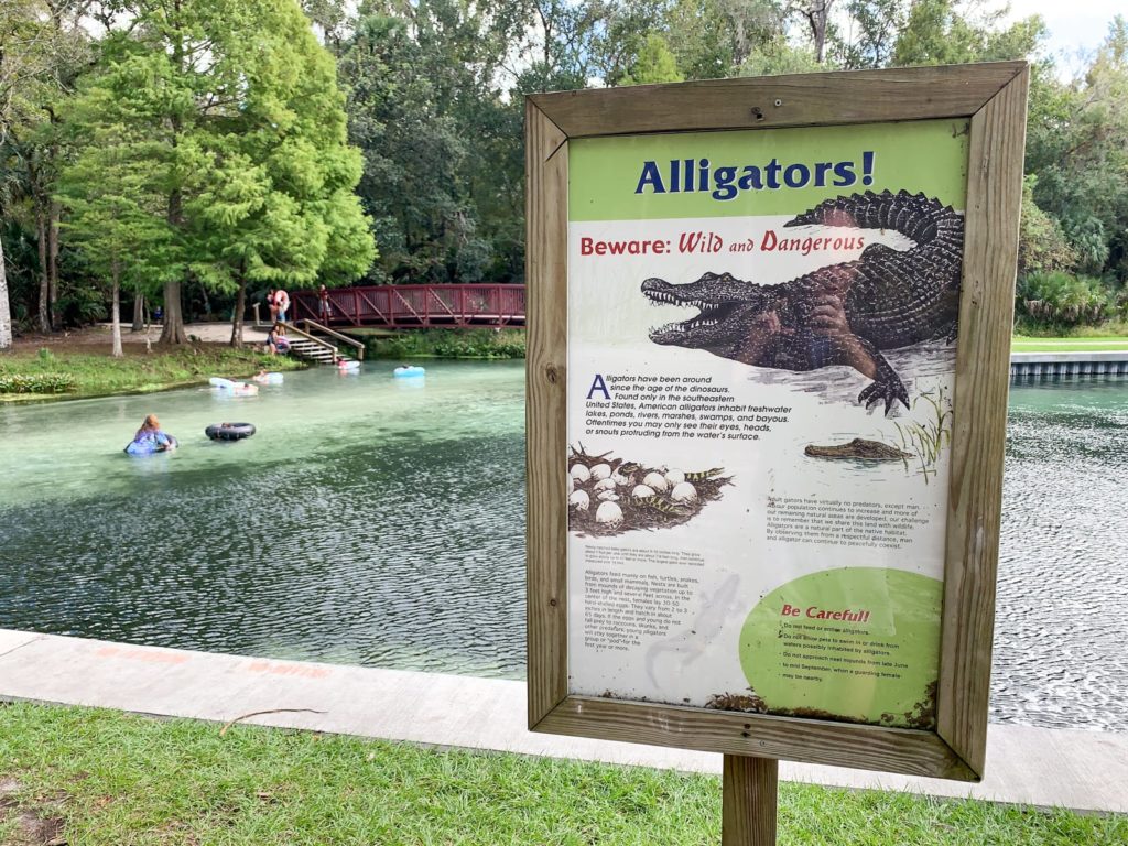 Official signs are posted warning of alligators in Kelly Park/Rock Springs