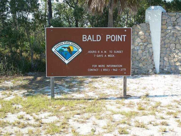 Bald Point State Park