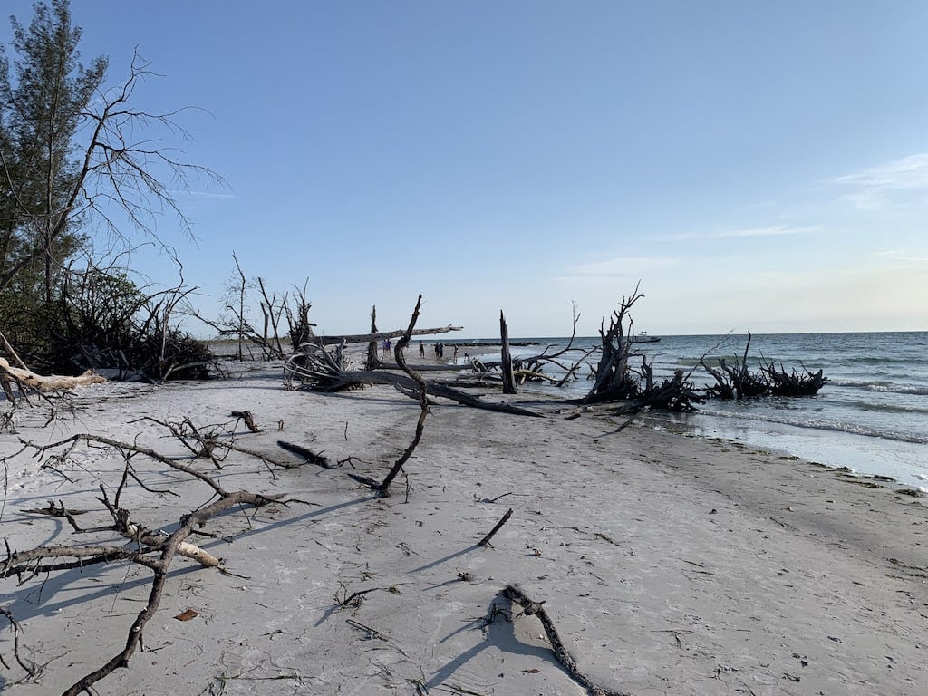 beer can island longboat key