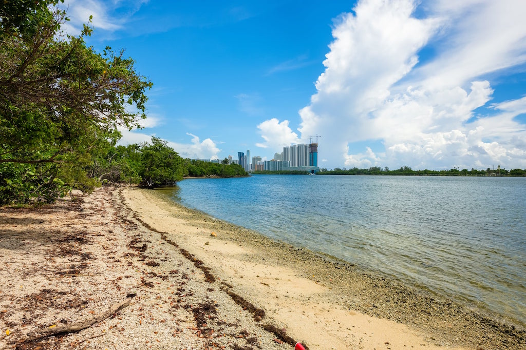 The view of Biscayne Bay from a beach in Oleta River State Park near Miami