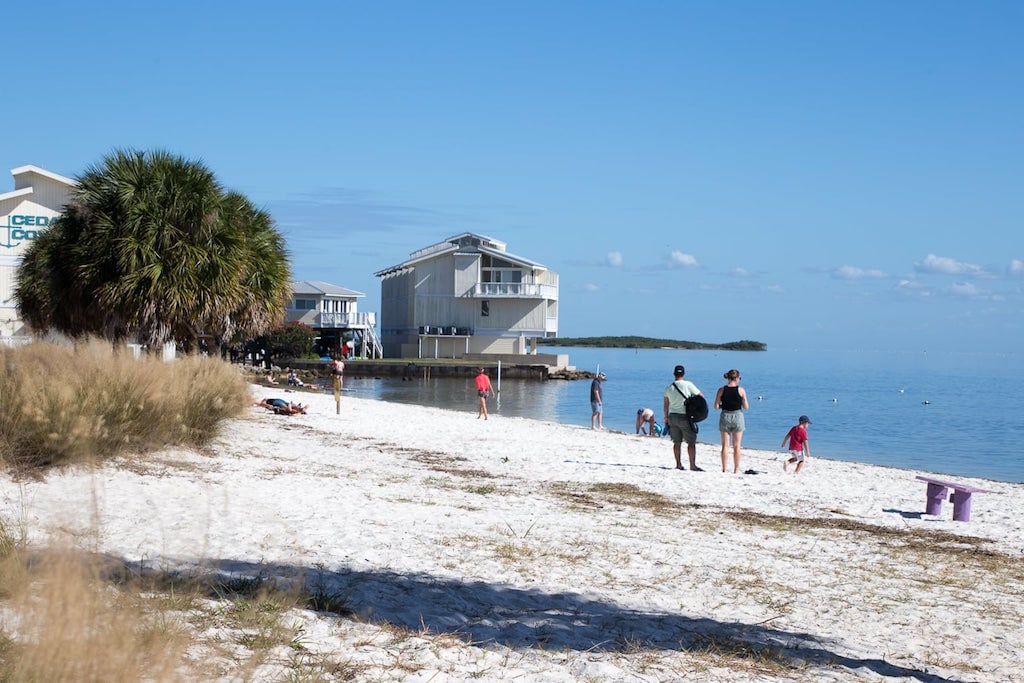 Swimming at the beach in Cedar Key, Florida