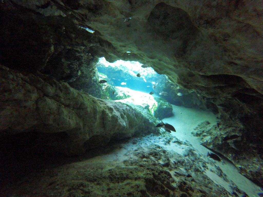 An underwater cave at Seven Sisters Spring in the Chassahowitzka River Florida