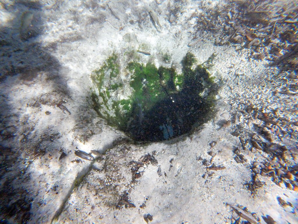 A round solution hole at Seven Sisters Spring in the Chassahowitzka River
