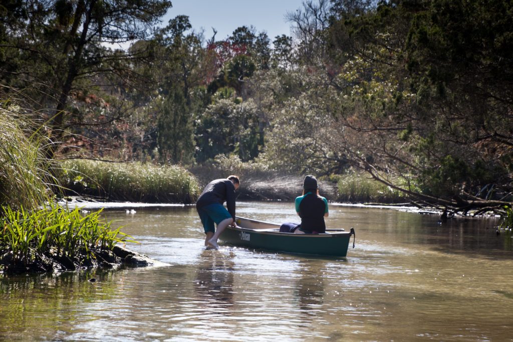 Portaging a canoe in shallow water in Baird Creek, Chassahowitzka River near The Crack