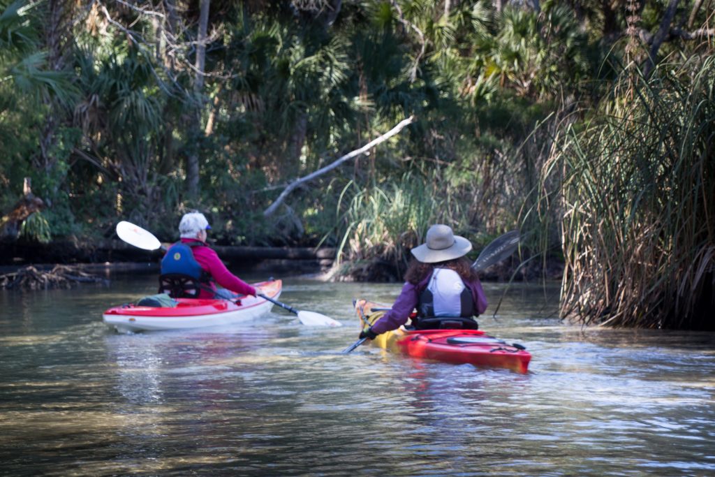 Kayaking the Chassahowitzka River near the Crack Spring