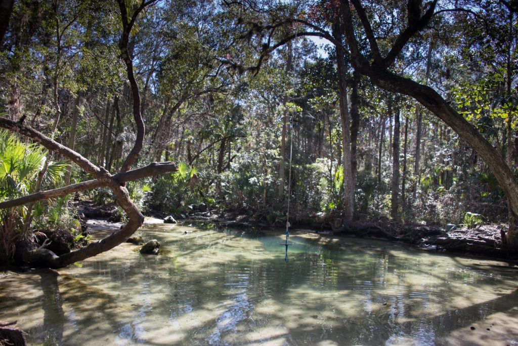 The Crack Spring in Chassahowitzka