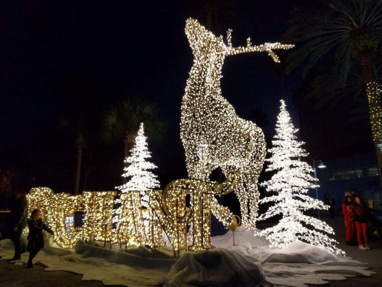 The Best Christmas Lights in Florida