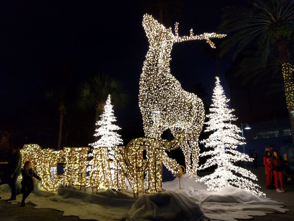 Christmas lights in Florida at St. Petersburg's Enchanted Christmas Event