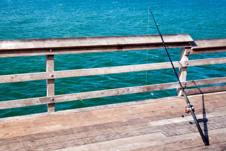 Fishing in Florida