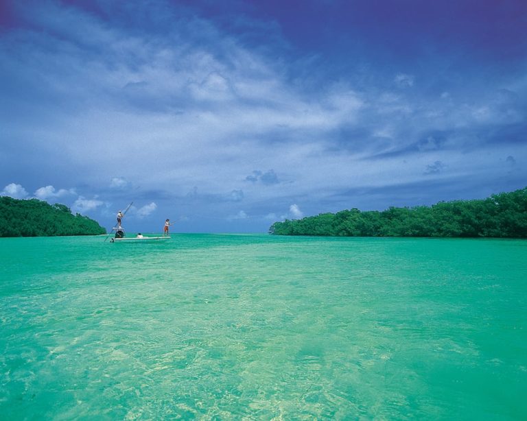 Fishing in Islamorada