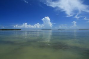 Calm water in Florida Bay near Everglades National Park and the Florida Keys