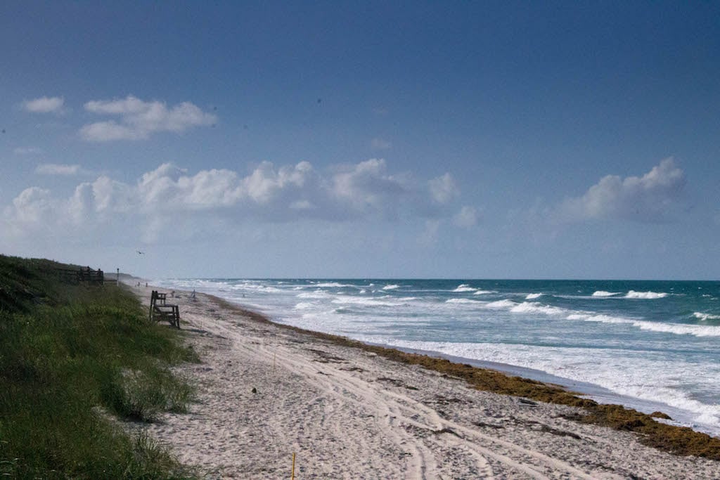 Photo of rough waves, murky water beach in Florida