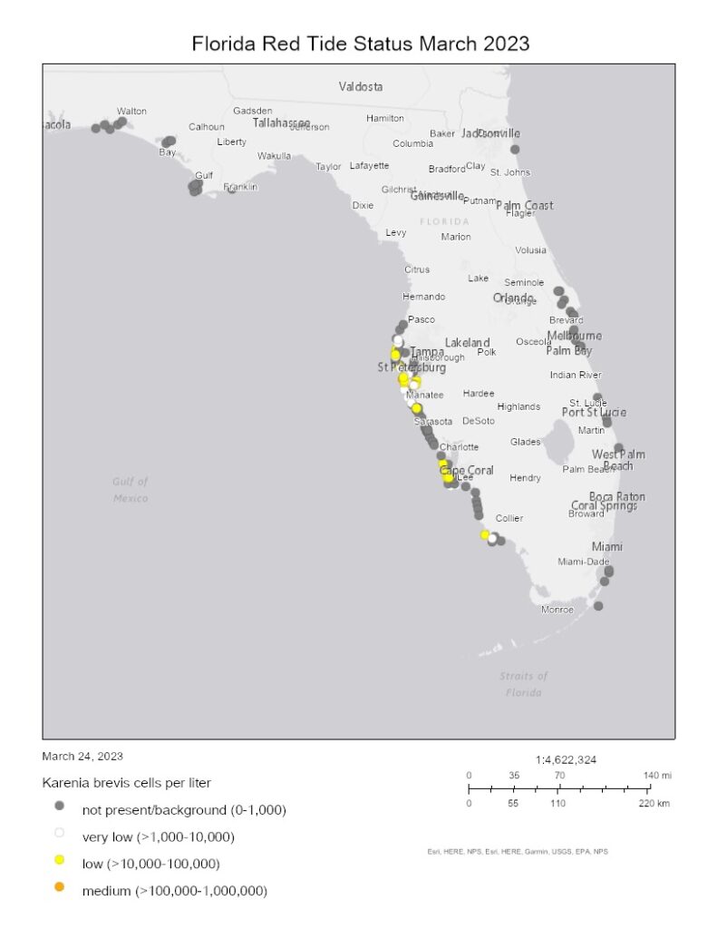 Map of Florida beaches and red tide status, updated 3-24-23