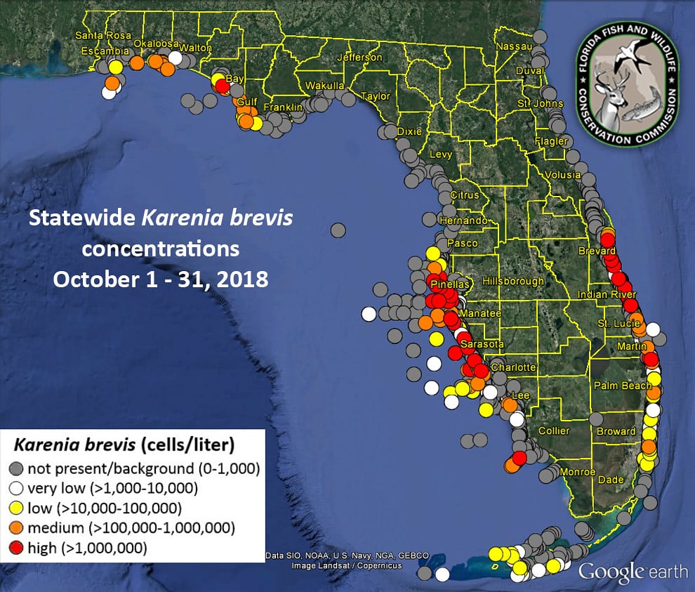 Map of florida beaches affected by red tide