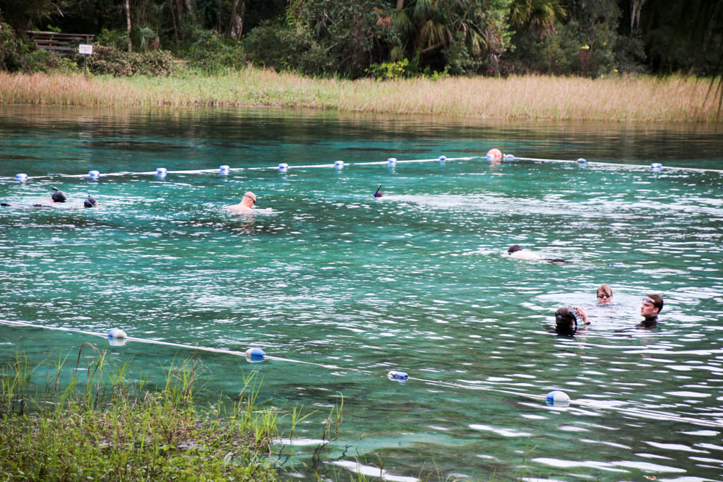 People swim in Rainbow Springs during the Christmas holidays