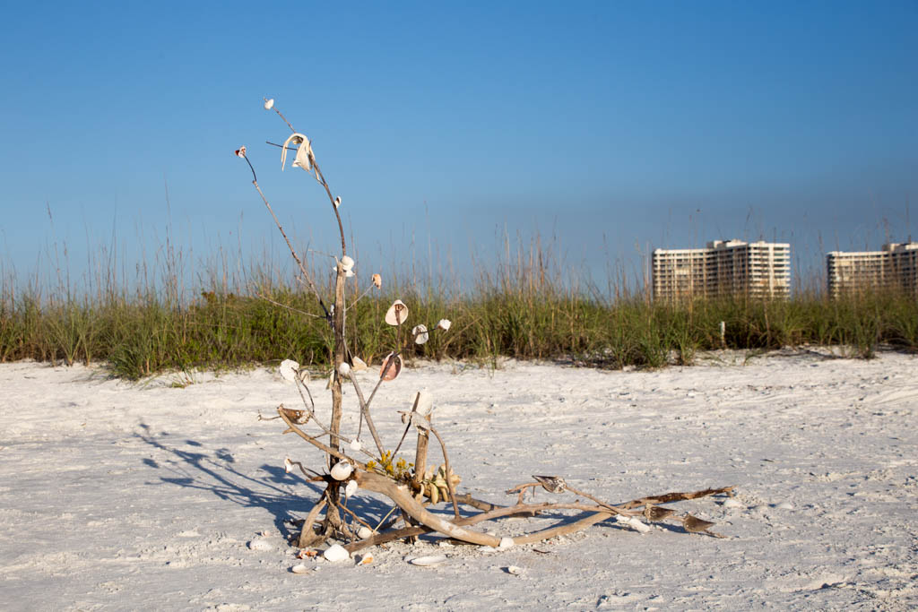 A beach seashell Christmas tree in Florida