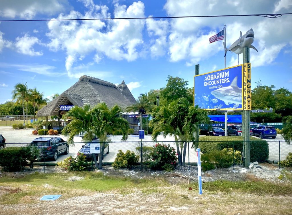 Florida Keys Aquarium Encounter in Marathon, Florida