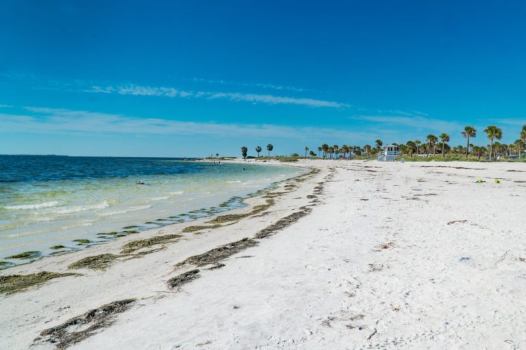 The swimming beach at Fred Howard Park in Tarpon Springs, Florida